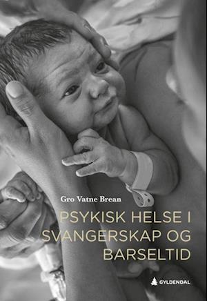 Psykisk helse i svangerskap og barseltid