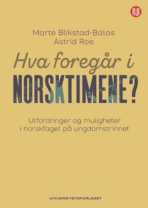 Hva foregår i norsktimene? : utfordringer og muligheter i norskfaget på ungdomstrinnet