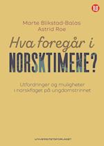 Hva foregår i norsktimene? : utfordringer og muligheter i norskfaget på ungdomstrinnet