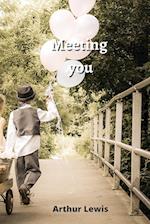 Meeting you 