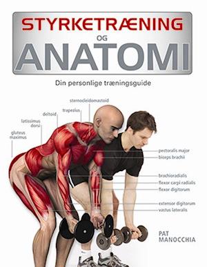Styrketræning og anatomi