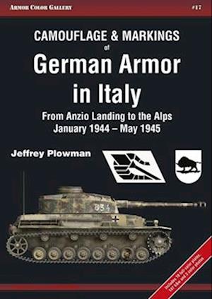 Camouflage & Markings of German Armor in Italy