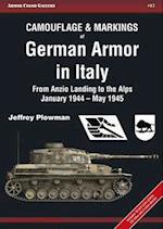Camouflage & Markings of German Armor in Italy