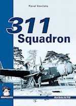 311 Squadron