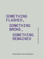 Something Flashed, Something Broke, Something Re – Consciousness Neue Bieriemiennost
