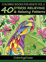 Coloring Books for Adults Volume 6