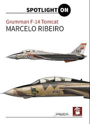 Grumman F-14 Tomcat