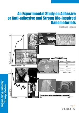 Experimental Study on Adhesive or Anti-adhesive, Bio-inspired Experimental Nanomaterials