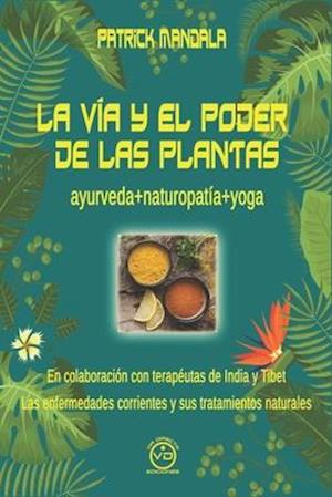 La Vía Y El Poder de Las Plantas