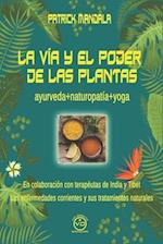 La Vía Y El Poder de Las Plantas