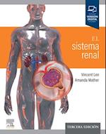 El sistema renal