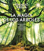 La magia de los árboles