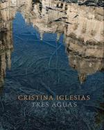 Cristina Iglesias: Tres Aguas