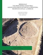 Berenguillo (T.M. Pedro Muñoz, Ciudad Real) Nuevos datos para el estudio de la Prehistoria Reciente en Castilla - La Mancha