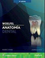 Woelfel. Anatomía dental