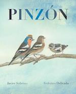 Pinzan (Finch)