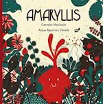 Amaryllis