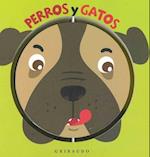 Perros Y Gatos