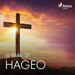 La Biblia: 37 Hageo