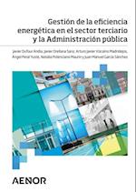 Gestion de la eficiencia energetica en el sector terciario y la Administracion publica