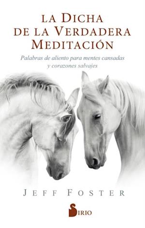 La dicha de la verdadera meditación