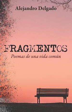 Fragmentos