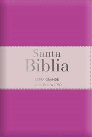 Biblia Rvr60 Letra Grande - Tamaño Manual / Tricolor