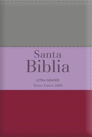 Biblia Rvr60 Letra Grande - Tamaño Manual / Tricolor