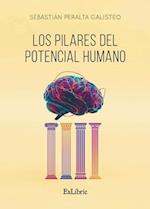 Los pilares del potencial humano