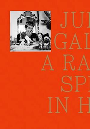 Julio Galan: A Rabbit Split In Half