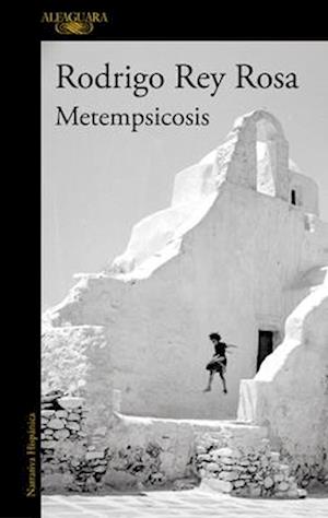 Metempsicosis