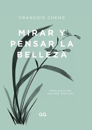 Mirar y pensar la belleza