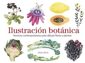 Ilustración botánica