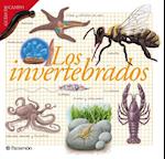 Los invertebrados