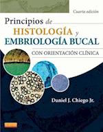 Principios de histología y embriología bucal