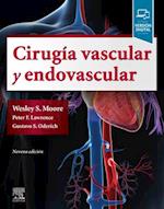 Cirugía vascular y endovascular