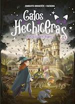 Gatos Y Hechiceras - Vol II