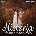 Historia de un amor turbio