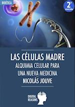 Las células madre