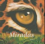 Miradas = In the Blink of an Eye