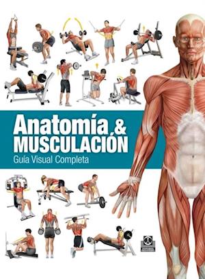 Anatomía & Musculación