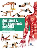 Anatomía y entrenamiento del core