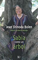 Sabia como un árbol