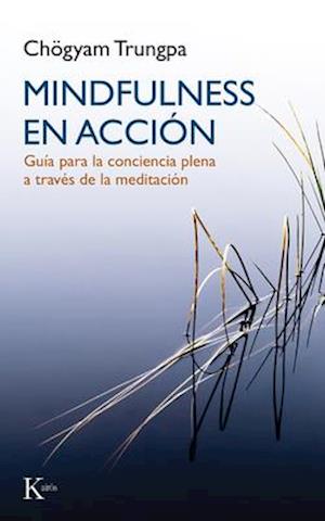 Mindfulness En Accion