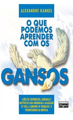 O que podemos aprender com os gansos