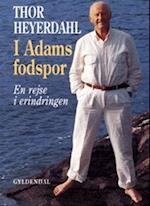 I Adams fodspor