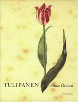 Tulipanen