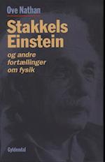 Stakkels Einstein og andre fortællinger om fysik