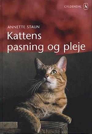 Kattens pasning og pleje