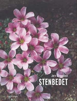 Stenbedet